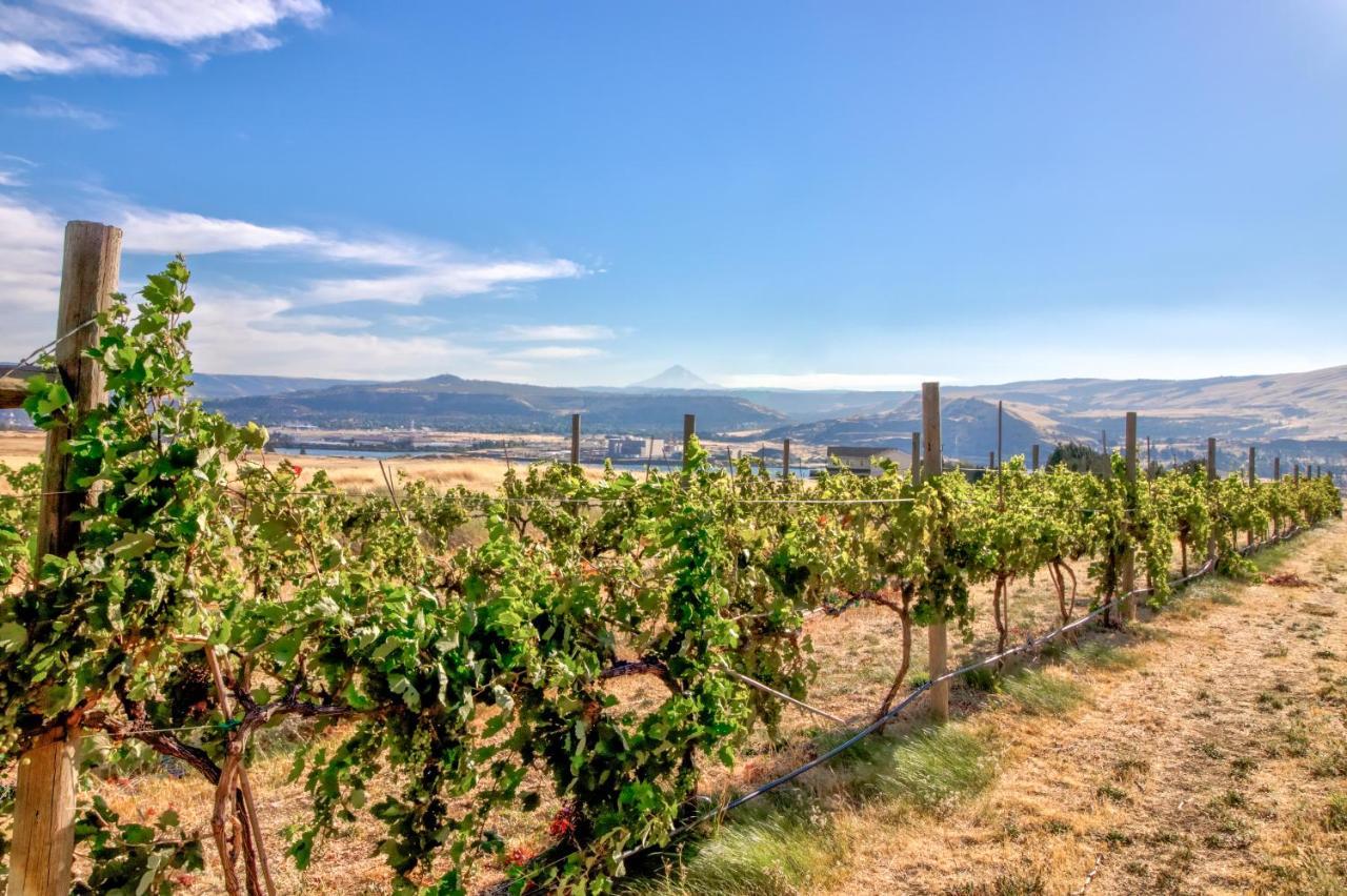 Grapevine Lodge Dallesport Bagian luar foto